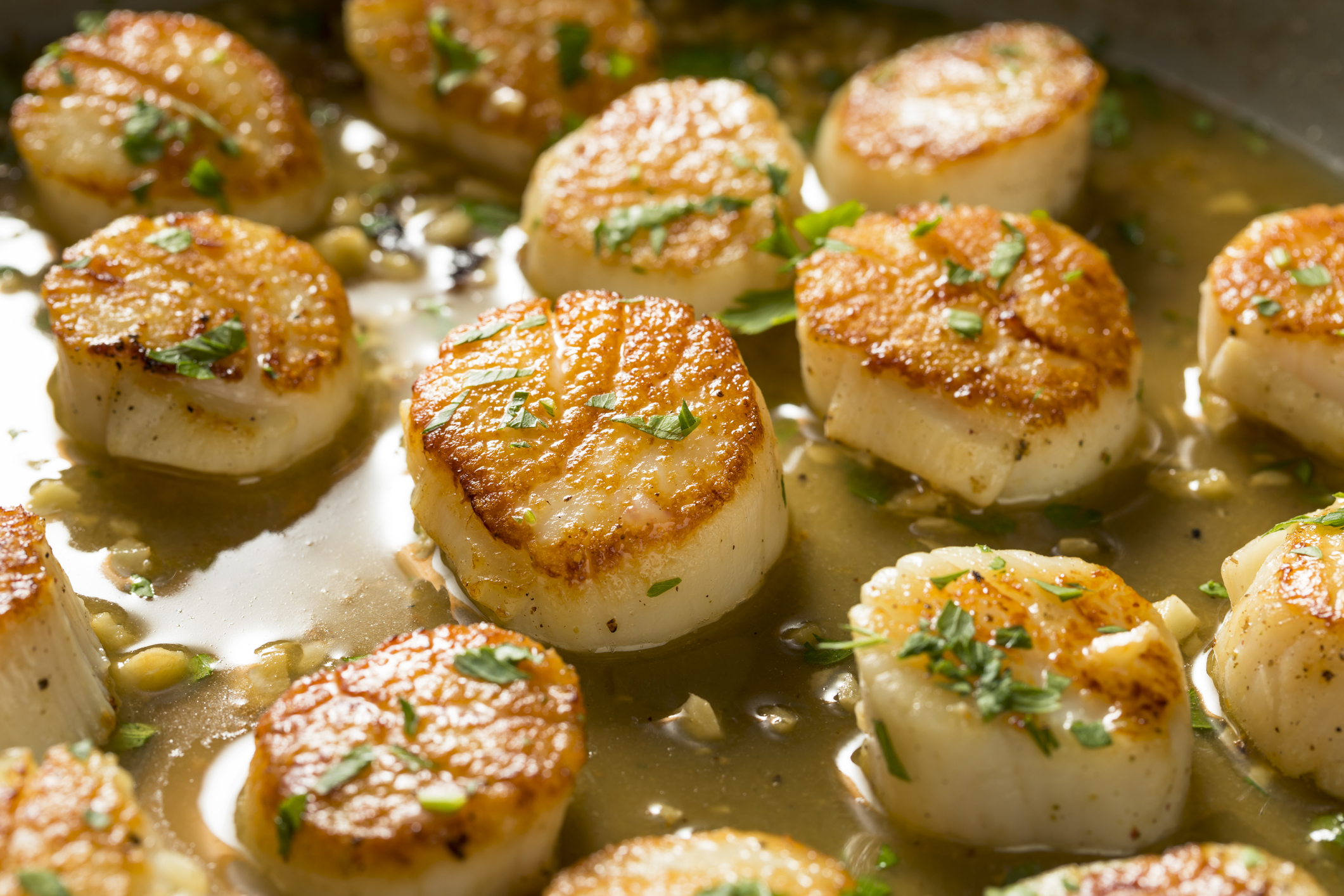Scallops